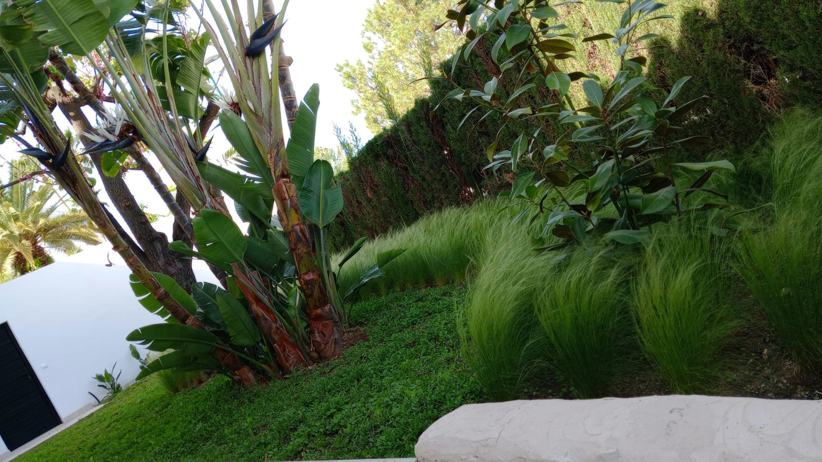 After photo of a redeveloped garden in El Palo, Malaga