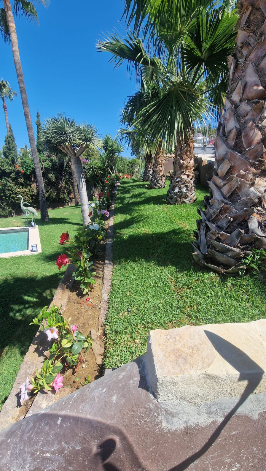 After shot - English-speaking gardeners Costa del Sol