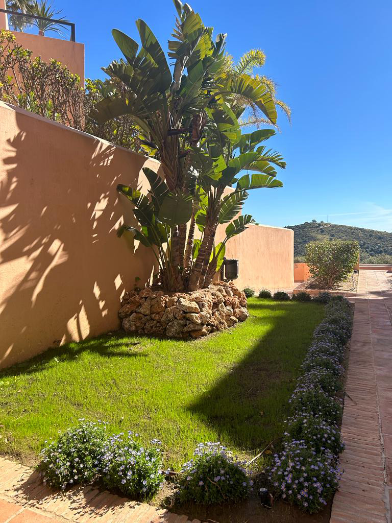 After photo of lawn care and planting by Jardineria Espana