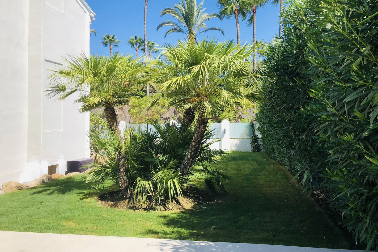 Lawn mowing and lawn care marbella and malaga costa del sol