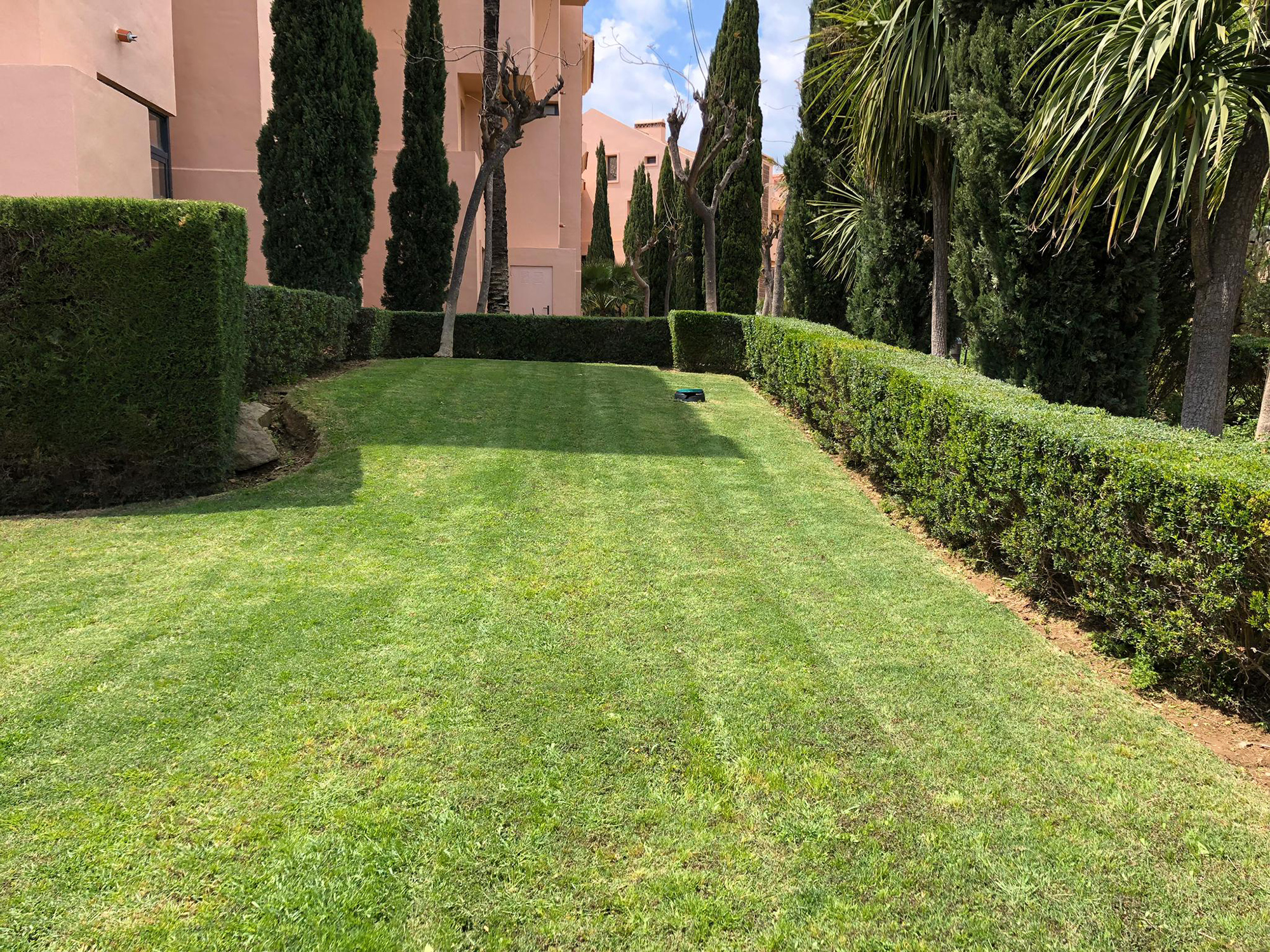 Lawn mowing professional gardener marbella