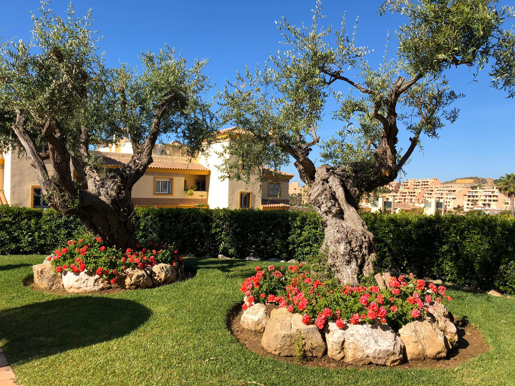 Landscape construction, Costa del Sol
